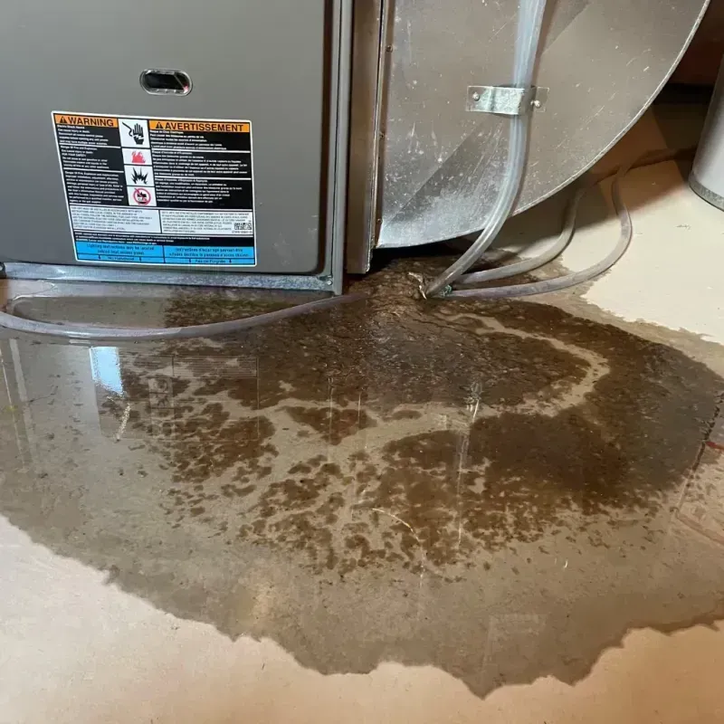 Appliance Leak Cleanup in Massapequa Park, NY